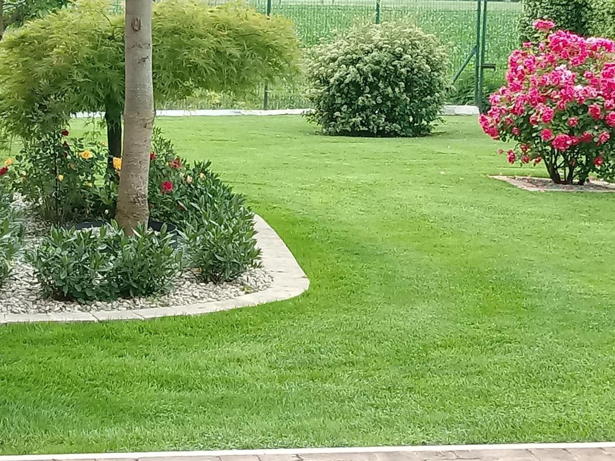 B&B Residence Il Ciliegio , Via Villa Superiore 93 Luzzara ซุสซารา ภายนอก รูปภาพ