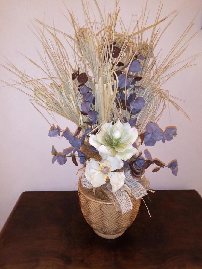 B&B Residence Il Ciliegio , Via Villa Superiore 93 Luzzara ซุสซารา ภายนอก รูปภาพ